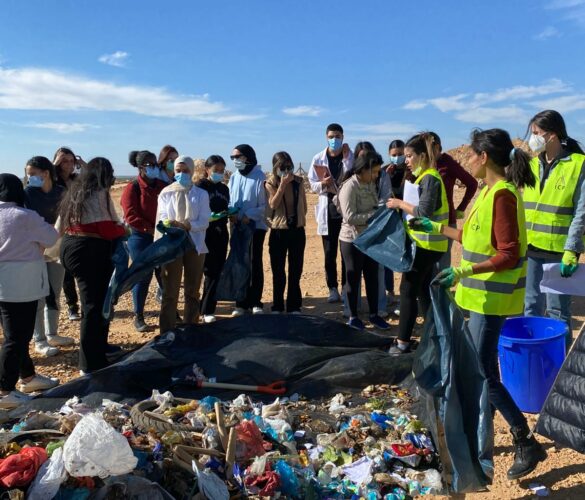 8af768e7-7d95-470c-9b6d-bd45036f6243